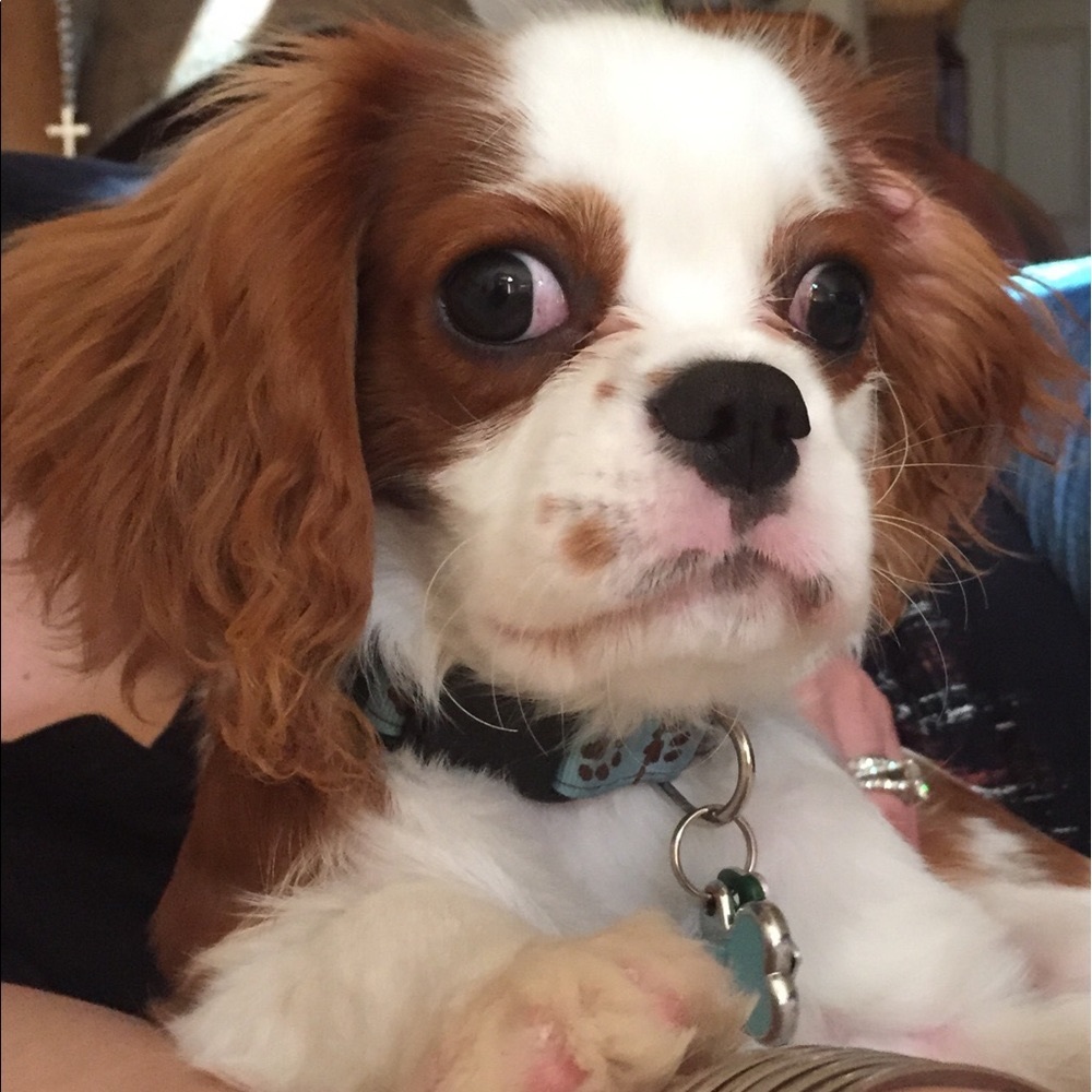 Meet your Posher, Tania